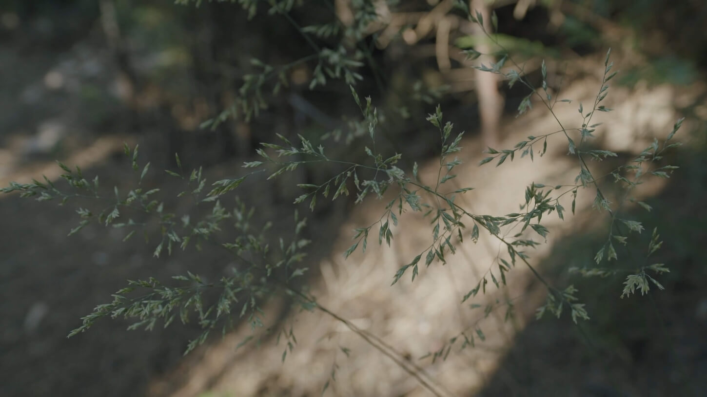 한남동 소요한남 by 파르나스, 자연 조경 갖춘 하이엔드 레지던스 분양